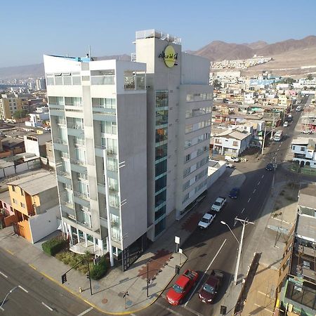 Alto Del Sol Costanera Antofagasta Hotell Exteriör bild