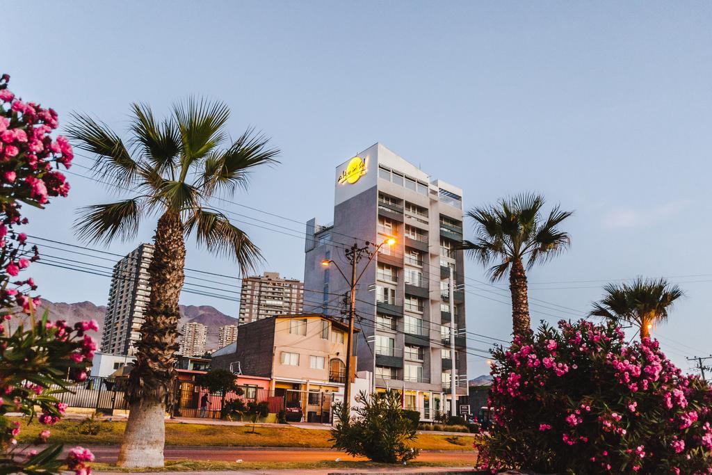 Alto Del Sol Costanera Antofagasta Hotell Exteriör bild